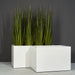 Granada Wide Rectangle Fiberglass Planter shown with different sizes filled with plants.