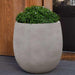 Guilford Planter, Large in stone grey lite on concrete filled with plants.