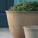 Hampstead Urn Planter, Extra Large filled with plants upclose