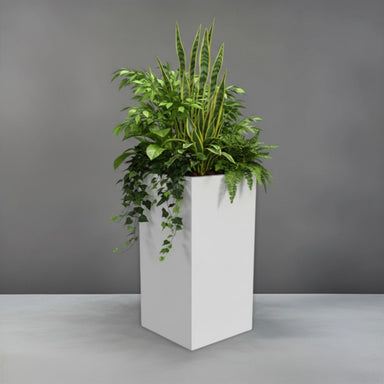 Holywood Corner Fiberglass Planter filled with plants against gray background.