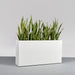 Hollywood Rectangle Fiberglass Planter on concrete filled with plants.