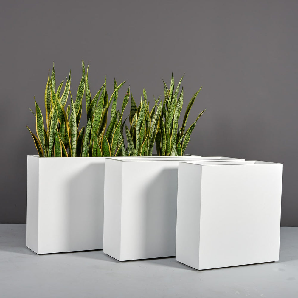 Hollywood Rectangle Fiberglass Planter shown in different sizes filled with plants.