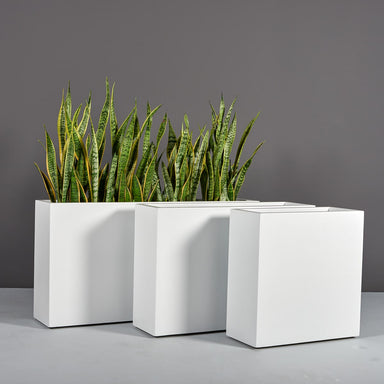 Hollywood Rectangle Fiberglass Planter shown in different sizes filled with plants.