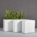 Hollywood Rectangle Fiberglass Planter shown in different sizes filled with plants.
