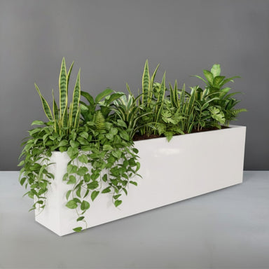 Hudson Extra Long Rectangle Fiberglass Planter filled with plants against gray backdrop.