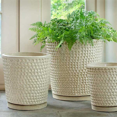 I/O Coin Pot Planter - Cream - S/3 on concrete filled with plants