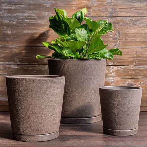 I/o Tapered Cylinder Planter - Peat - S/3 on the concrete filled with green leaves