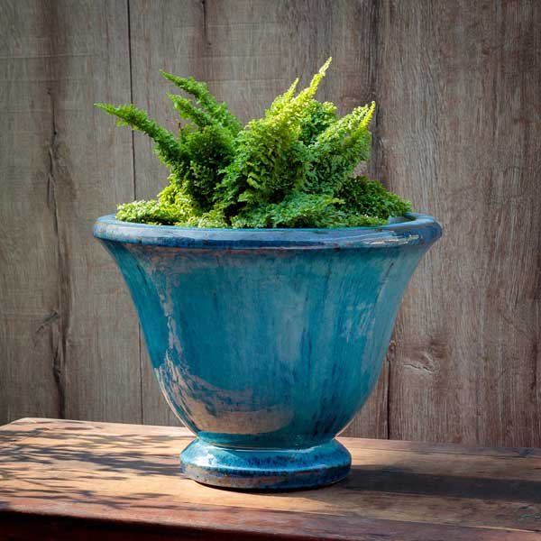 Jacqueline Urn Planter - Mediterranean - S/1 on table filled with plants