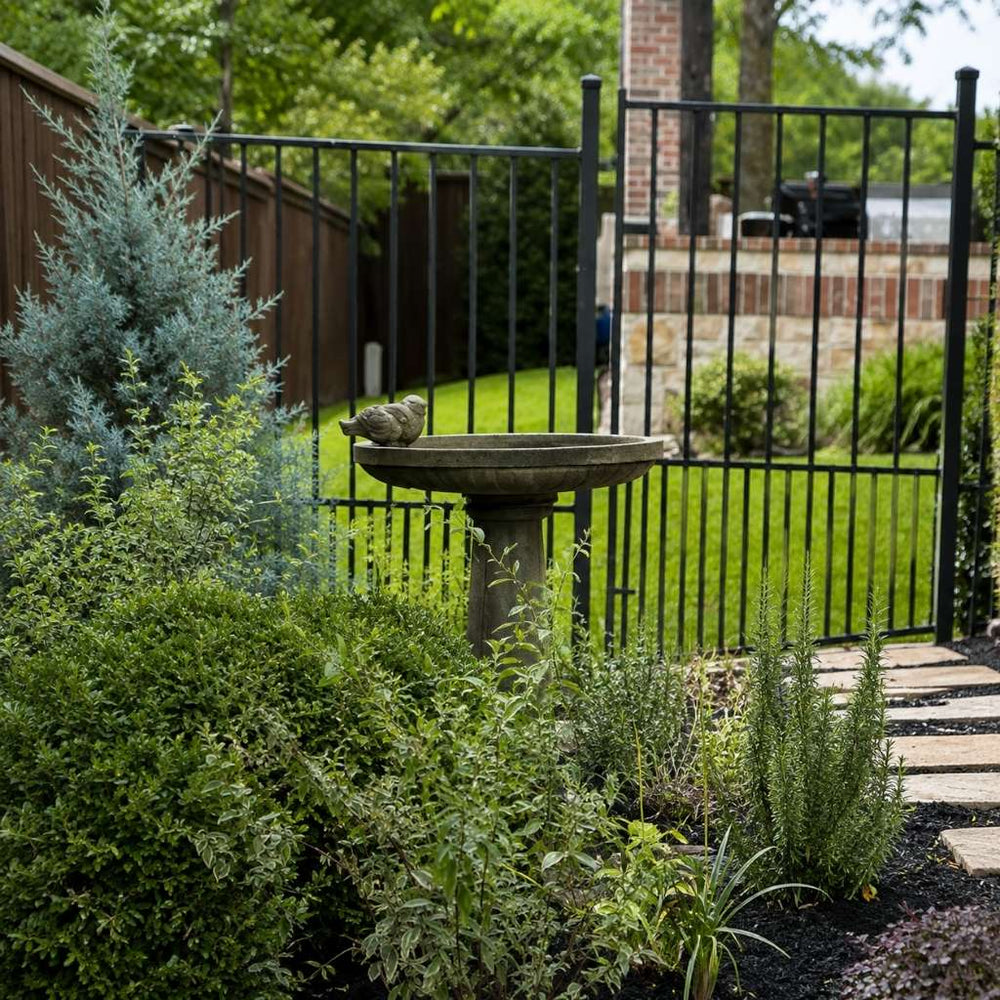 Juliet pedestal birdbath with decorative bird perched on the basin surrounded by lush shrubs in a landscaped garden.