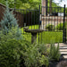 Juliet pedestal birdbath with decorative bird perched on the basin surrounded by lush shrubs in a landscaped garden.