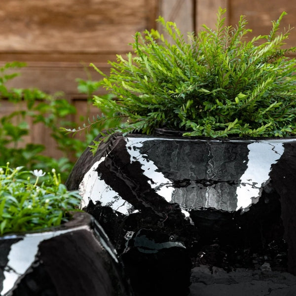 Le Petit Monde Planter filled with plants upclose.