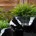 Le Petit Monde Planter filled with plants upclose.