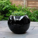 Le Petit Monde Planter on concrete filled with plants.