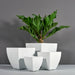 Lima Square Tapered Fiberglass Planter on concrete filled with plants.
