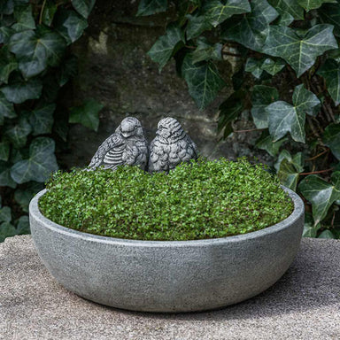 Lovebird Planter filled with plants in the backyard