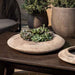 Luna Bowl Medium Antico Terra Cotta S/2 on the table filled with plants