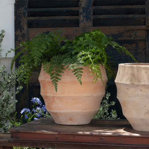 Malaga Planter - Terra Cotta - S/4 on ledge filled with plants