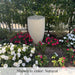 Manzanita Fountain in action surrounded with flowers.