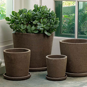 Maracay Planter - Carob - S/4 on concrete filled with plants