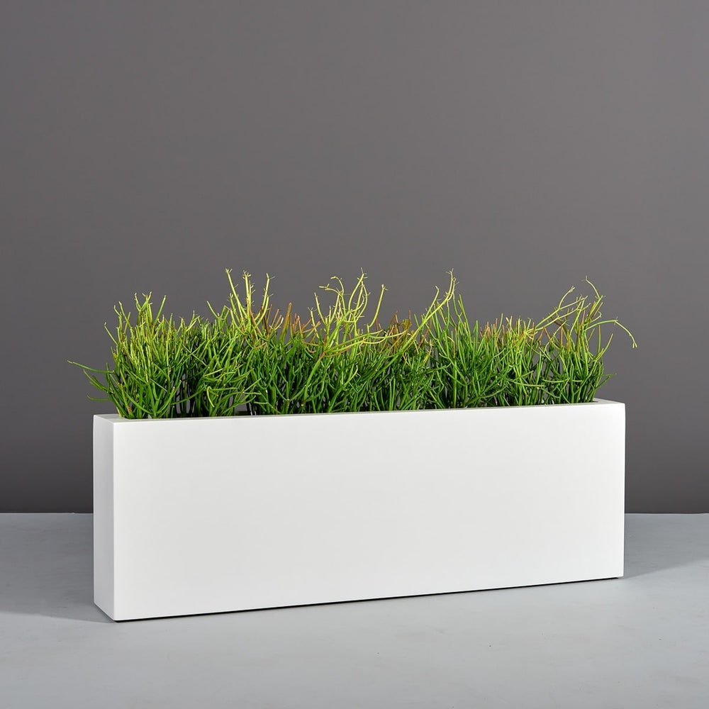 Miami Rectangle Fiberglass Planter on concrete filled with plants.