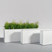 Miami Rectangle Fiberglass Planter shown with different sizes filled with plants.