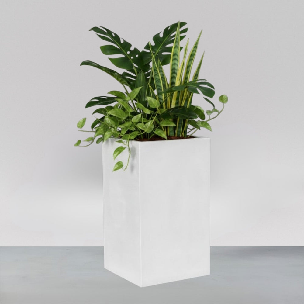 Miami Short Corner Fiberglass Planter filled with plants against gray background.