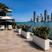 White rectangular Milano planters with snake plants on a luxury waterfront terrace overlooking a modern city skyline.