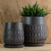 Mojave Planter - Matte Black - S/4 filled with plants