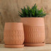 Mojave Planter - Terra Cotta - S/4 filled with plants