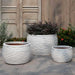 Montauk Planter - Antique White - S/3 on concrete filled with plants