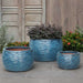 Montauk Planter - Mediterranean - S/3 on concrete filled with plants