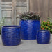 Montauk Planter, Tall - Riviera Blue - S/3 on concrete filled with plants