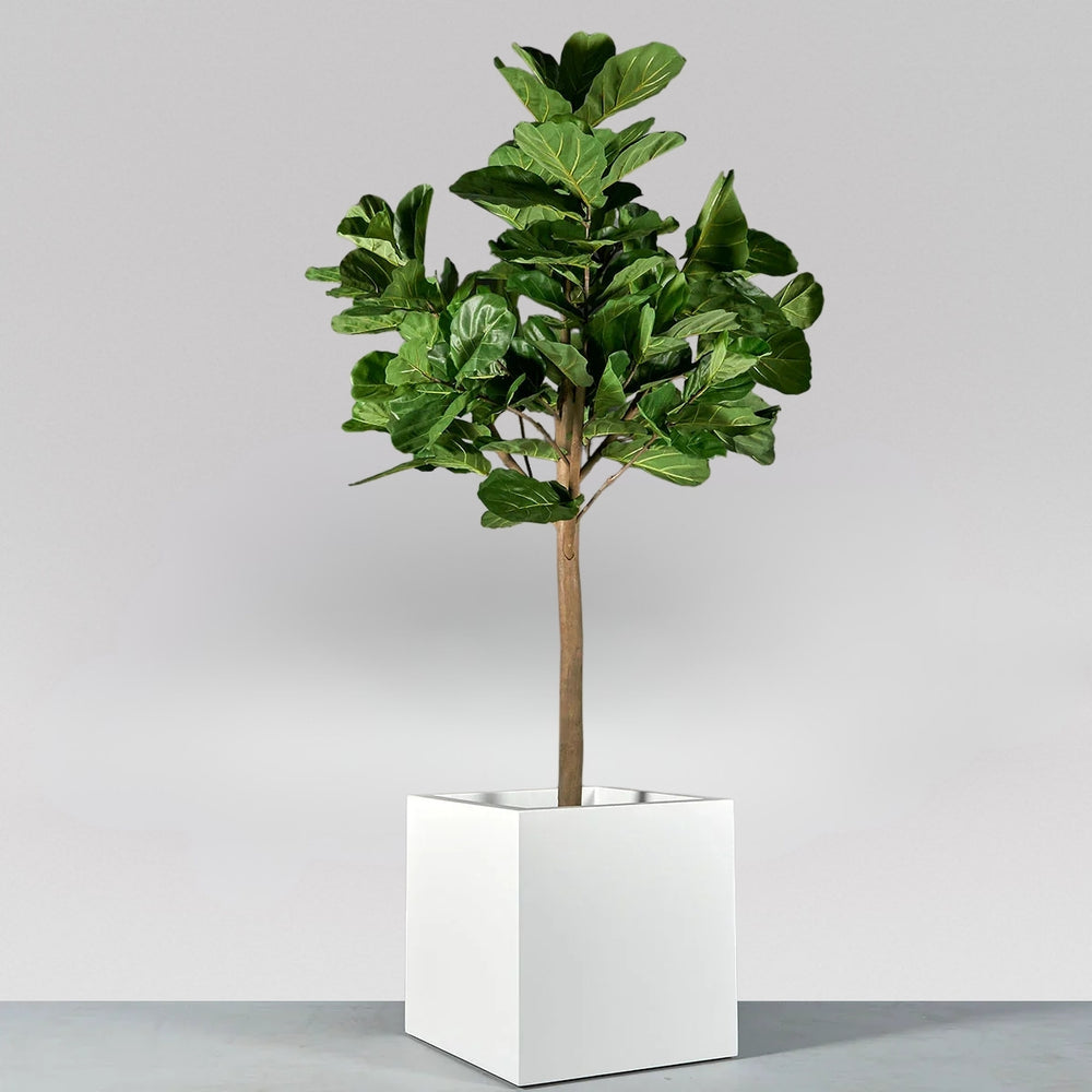 Montroy Cube Fiberglass Planter on concrete filled with plants.
