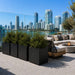 Montroy Cube Planters in matte black privacy framing a luxury rooftop lounge area with skyline and waterfront views