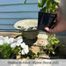 Moreland Urn on wooden surface beside white flowers