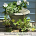 Moreland Urn Planter with white flowers against white wall