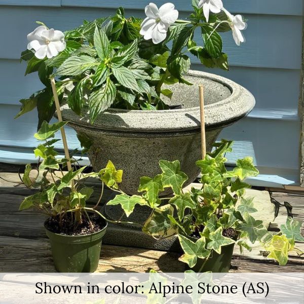 Moreland Urn with white flowers against white wall