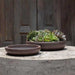 Nico Bowl Planter - Earthenware - S/2 on concrete filled with plants