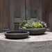 Nico Bowl Planter - Volcanic Coral - S/2 on concrete filled with plants