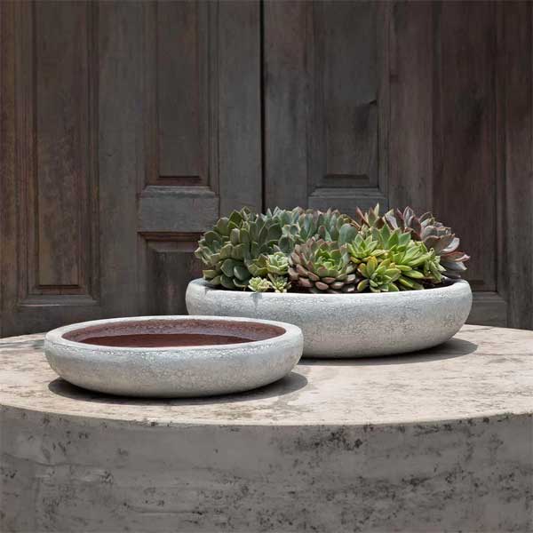 white succulent bowl Campania International Nico Bowl