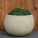 Norfolk Planter, Large in ivory lite filled with plants