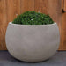 Norfolk Planter, Large in stone grey lite on concrete filled with plants.