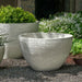 Nori Bowl Planter on gravel in the backyard.