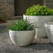 Nori Bowl Planter, Small on gravel filled with plants.