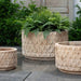 Oriel Planter, Low in antico terra cotta on concrete in the backyard.