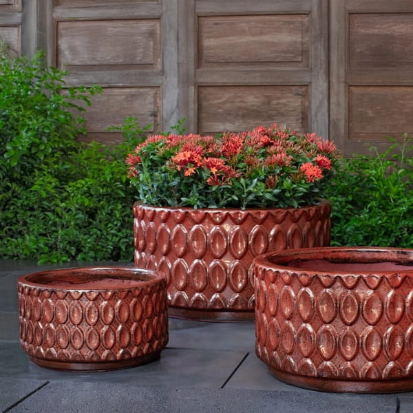Oriel Planter, Low in glazed brunello on concrete filled with plants.