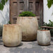 Otranto Planter - Vicolo Muro - S/3 on concrete in the backyard