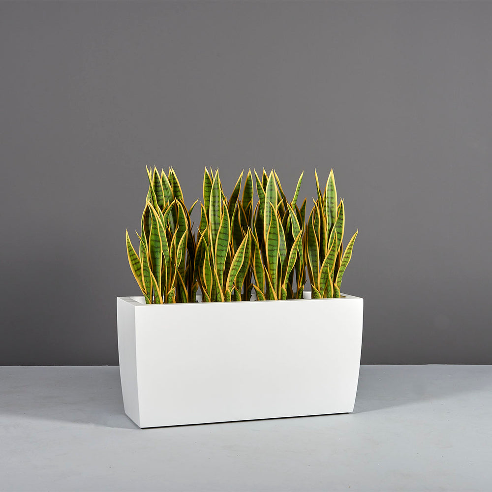 Panama Tapered Rectangle Planter on concrete filled with plants.
