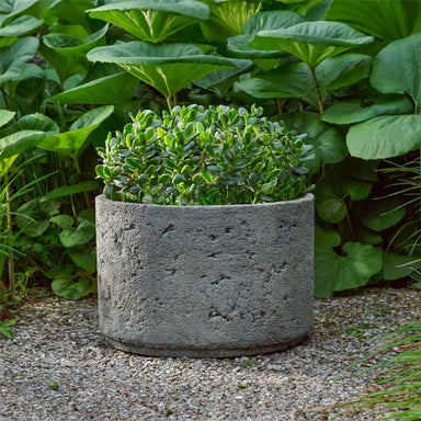 Paros Planter filled with plants in the backyard