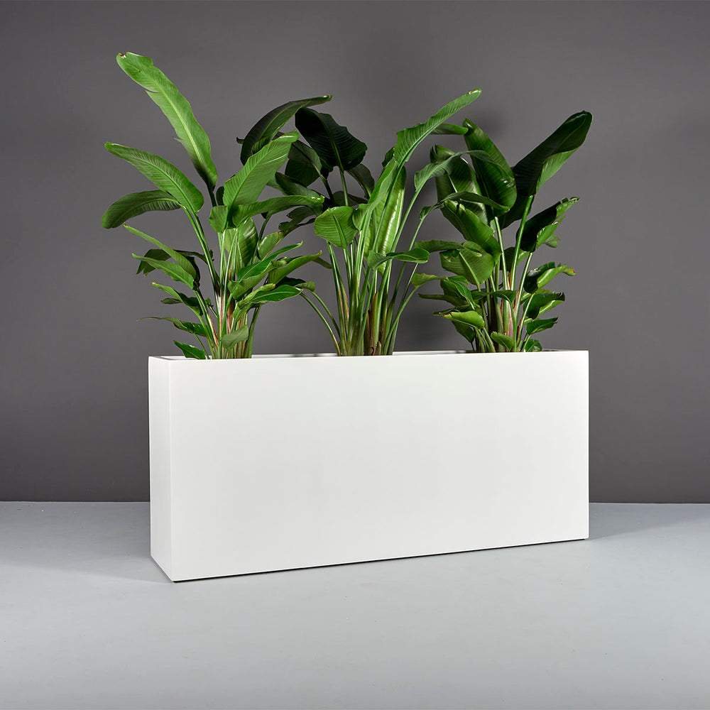 Potsdam Rectangle Fiberglass Planter on concrete filled with plants.